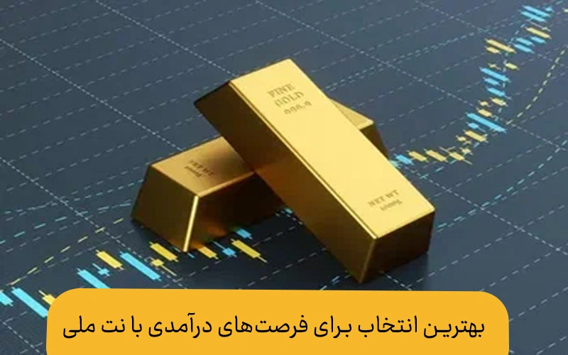 فرصت های درآمدی در نت ملی | بهترین انتخاب کدام است؟